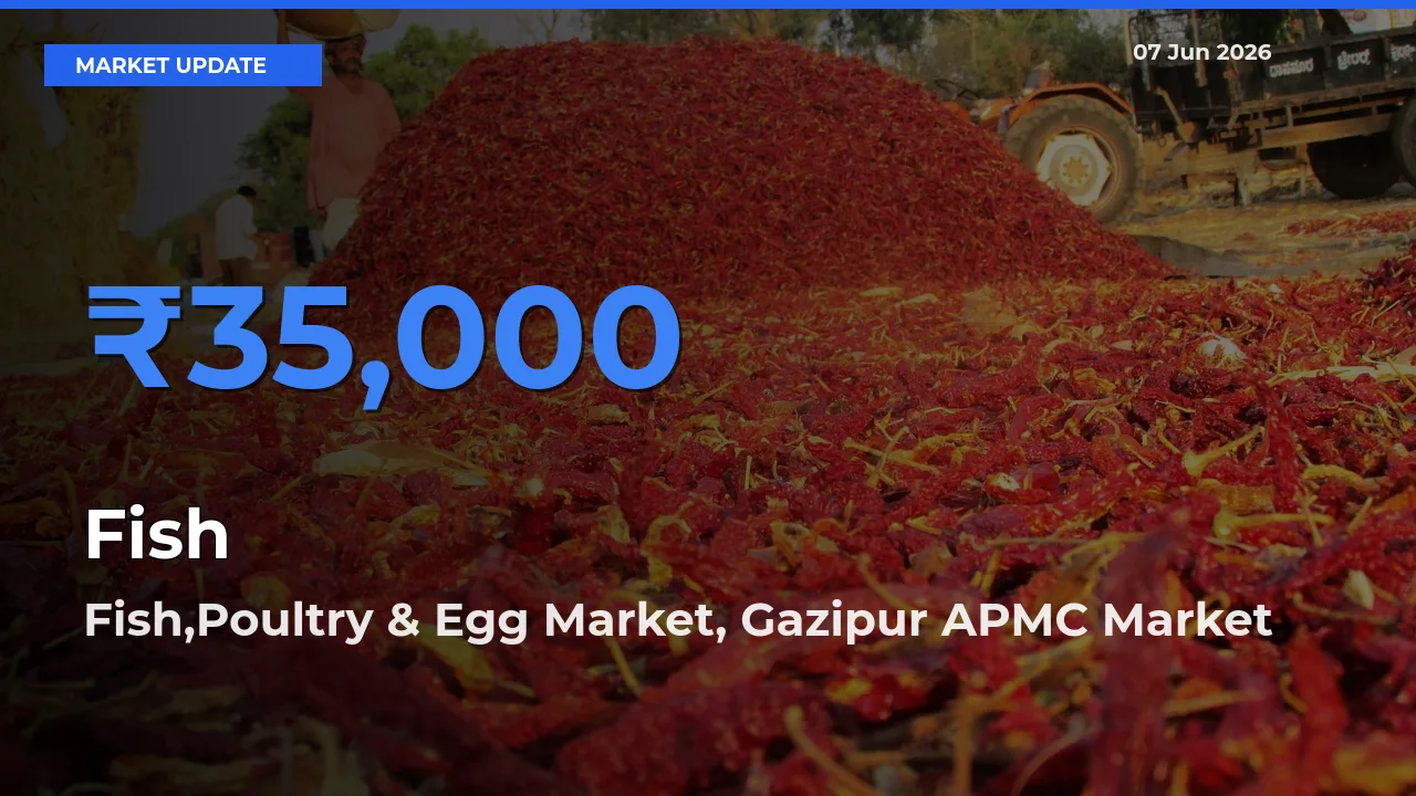 Top Performer! Fish,Poultry & Egg Market, Gazipur APMC Offers Best Fish Price Today