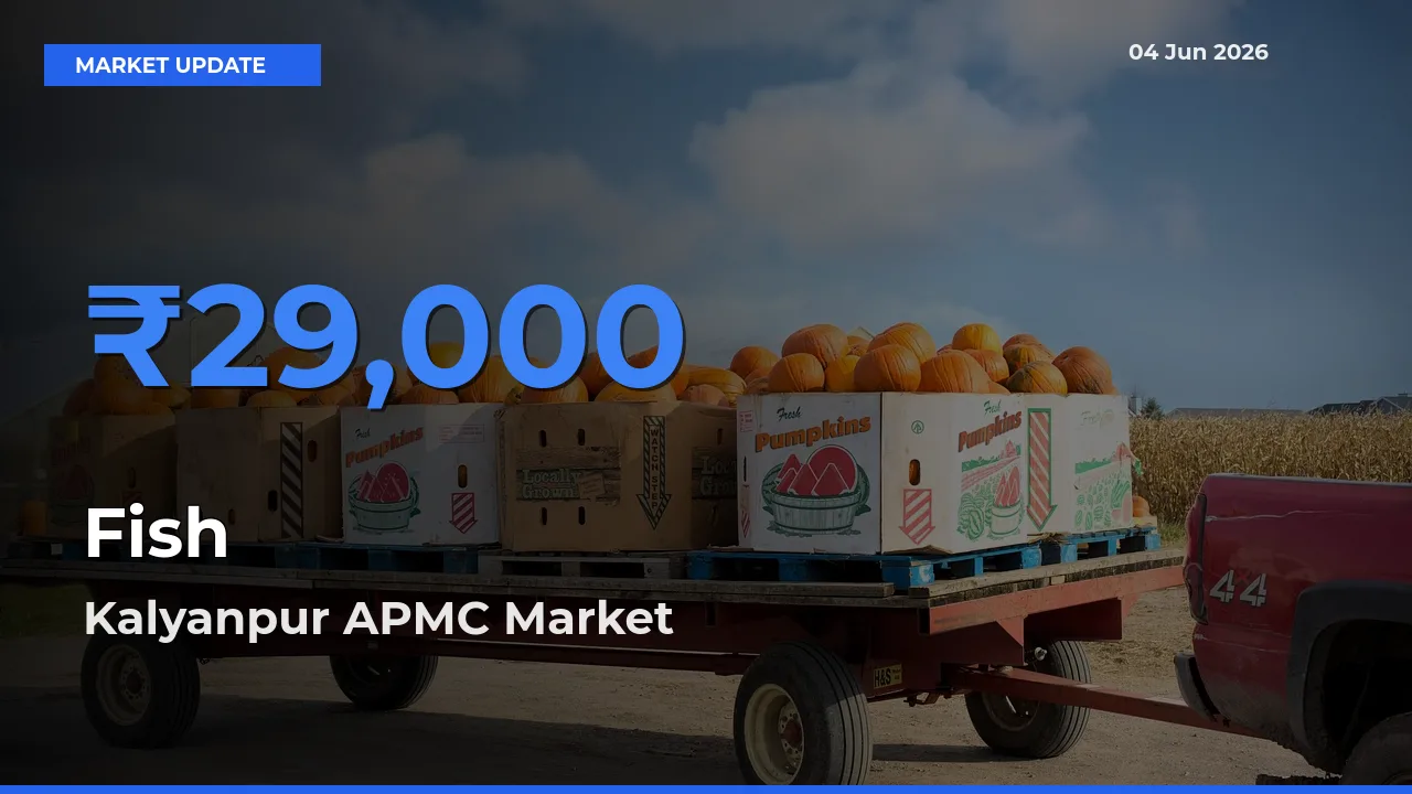 Kalyanpur APMC Leads as Top Mandi for Fish Prices