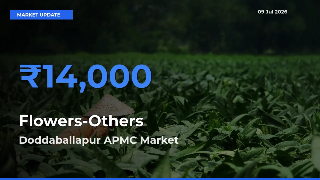 Market Watch: Doddaballapur APMC Becomes Top Mandi for Flowers-Others