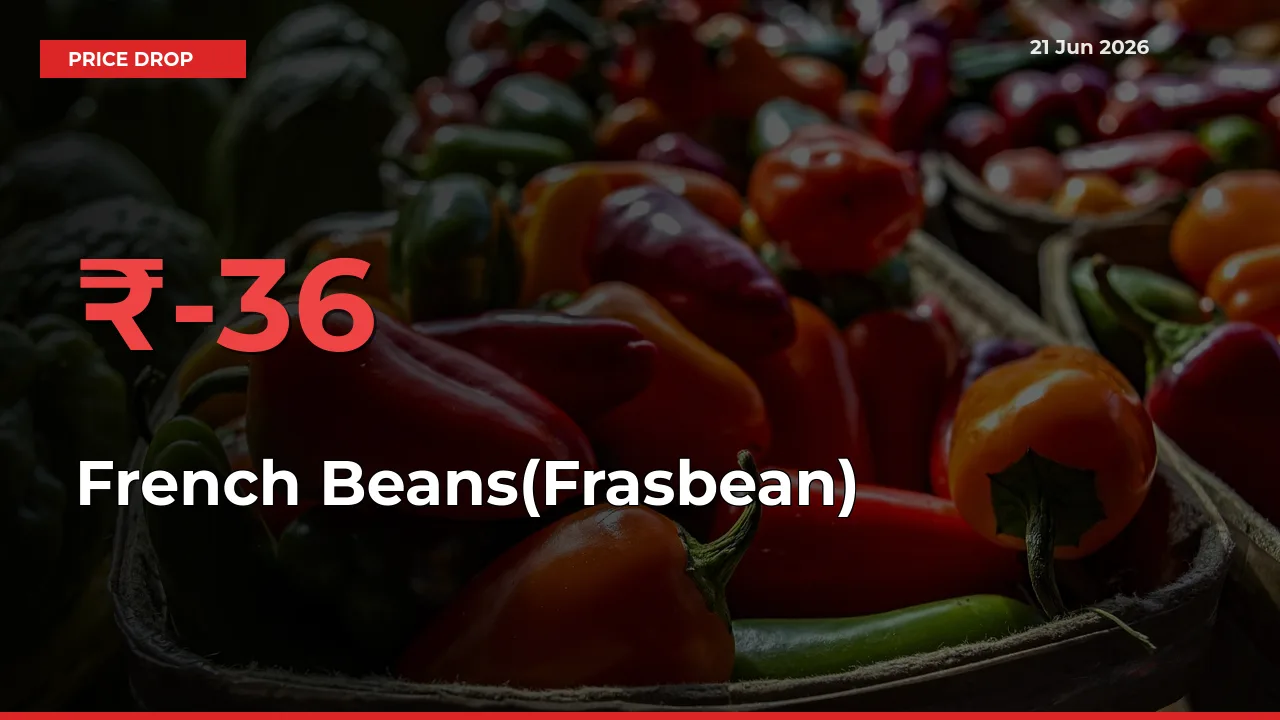 36.31% Drop in French Beans(Frasbean) Prices – Mandi Sees Sudden Fall