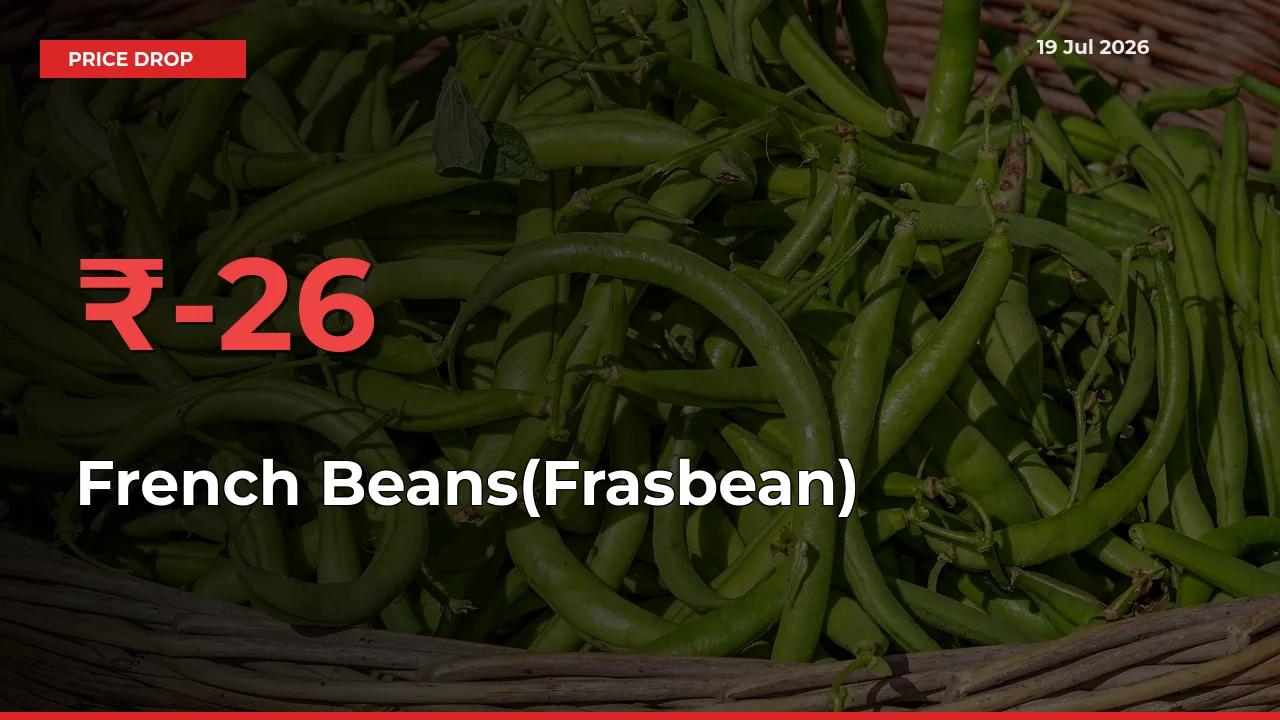 French Beans(Frasbean) Prices Drop 26.09% in 24 Hours at Major Mandis