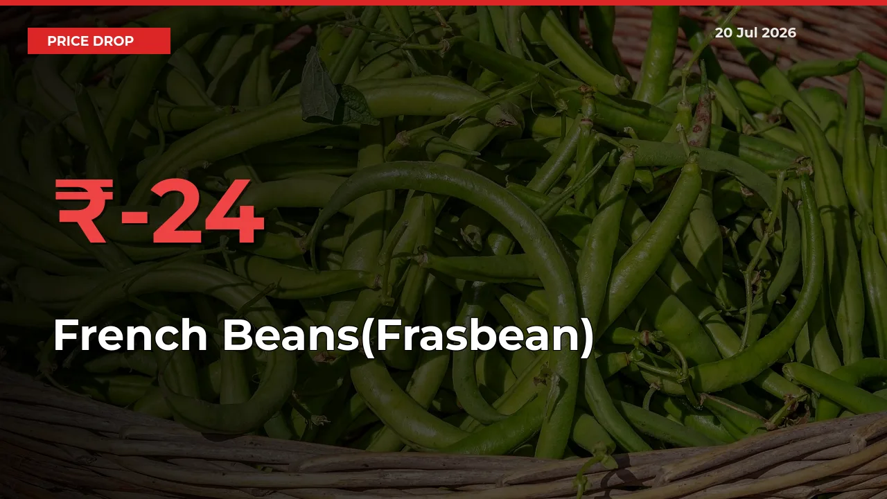 French Beans(Frasbean) Prices Drop 23.95% in 24 Hours at Major Mandis