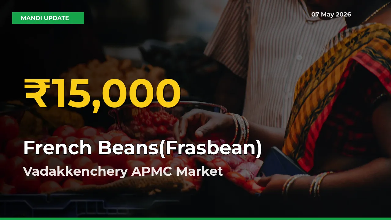 Vadakkenchery APMC Leads as French Beans(Frasbean) Hits Highest Rate – May 07 Update