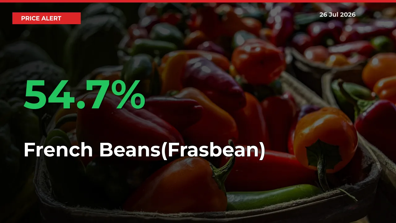 French Beans(Frasbean) Mandi Rate Today: Prices Jump 54.7% at Market