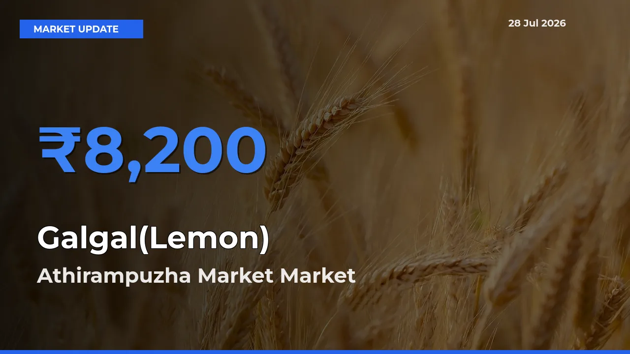 Athirampuzha Market, Kottayam, Keralam Tops Galgal(Lemon) Rates – July 28 Market Update