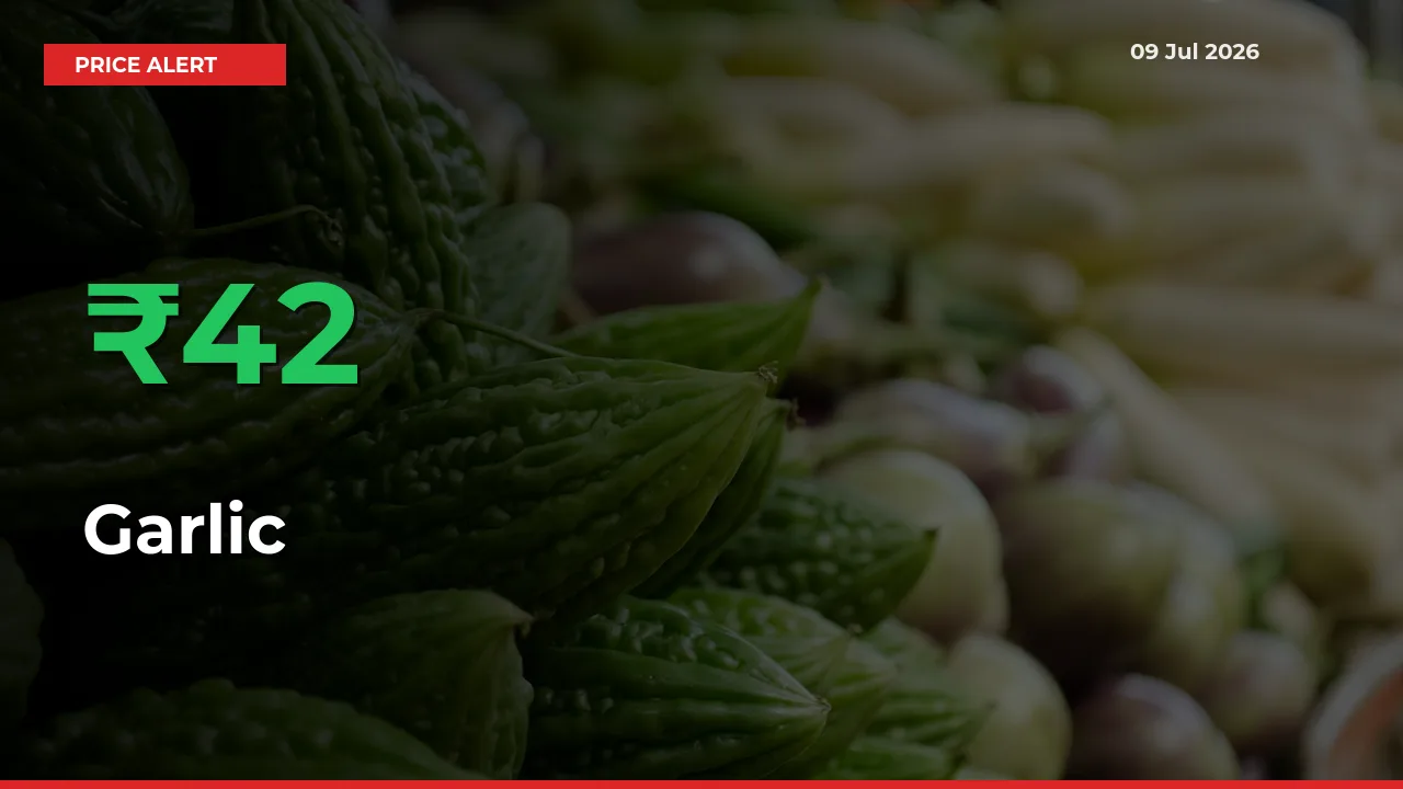 Garlic Rises 42.22% at Mandis