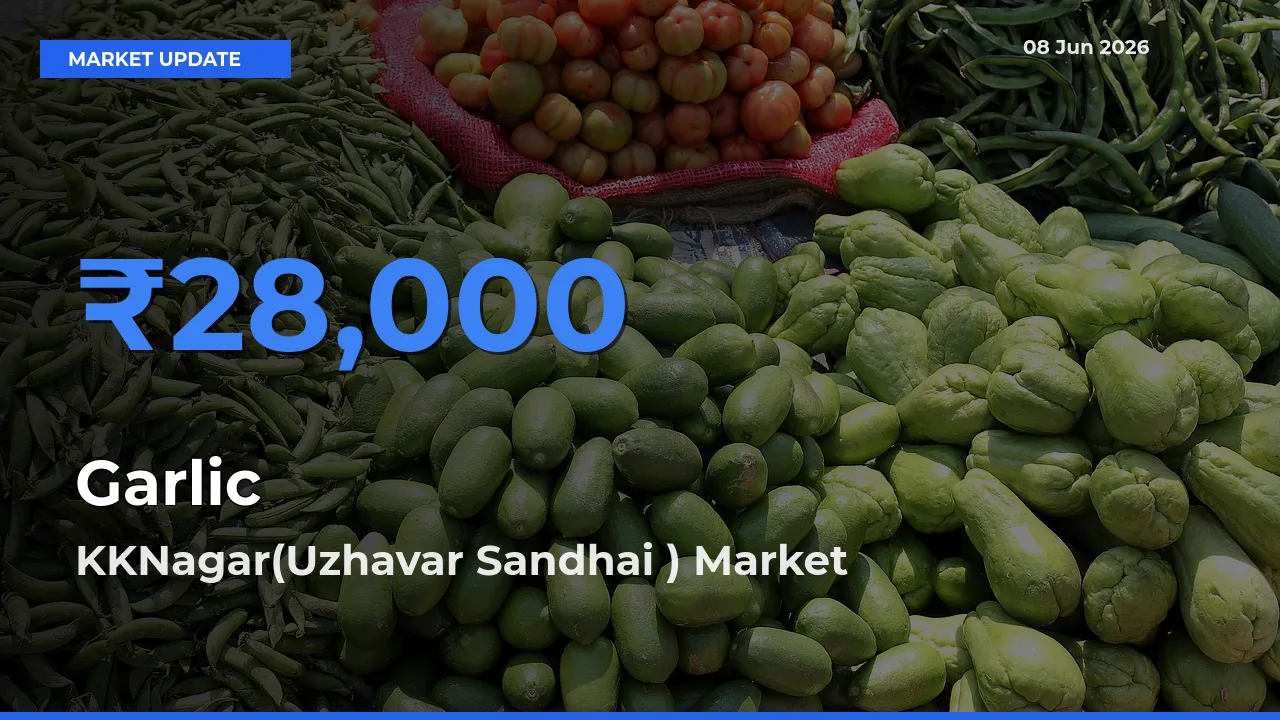 Farmers Prefer KKNagar(Uzhavar Sandhai ) as Garlic Hits Highest Rate