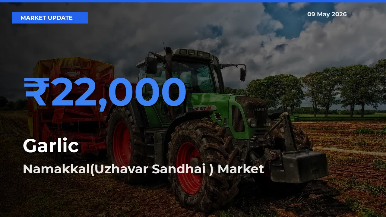 Namakkal(Uzhavar Sandhai ) Tops Garlic Rates – May 09 Market Update