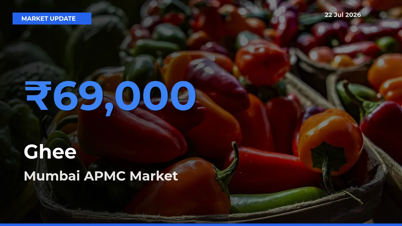 Market Watch: Mumbai APMC Becomes Top Mandi for Ghee