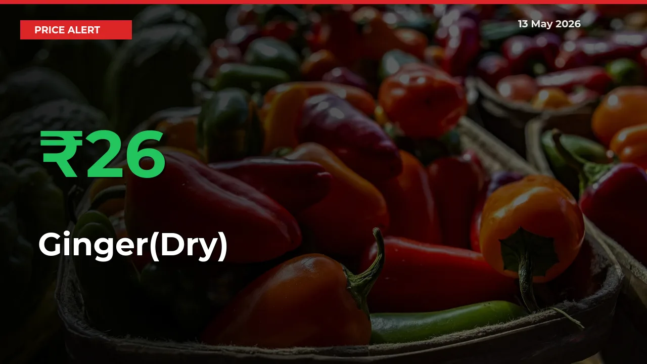 This Mandi Records 25.61% Jump in Ginger(Dry) Prices