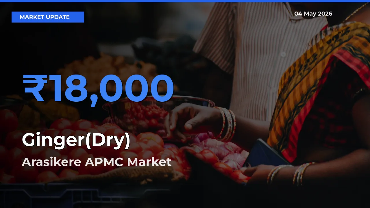 Ginger(Dry) Mandi Rate Today: Arasikere APMC Tops the List
