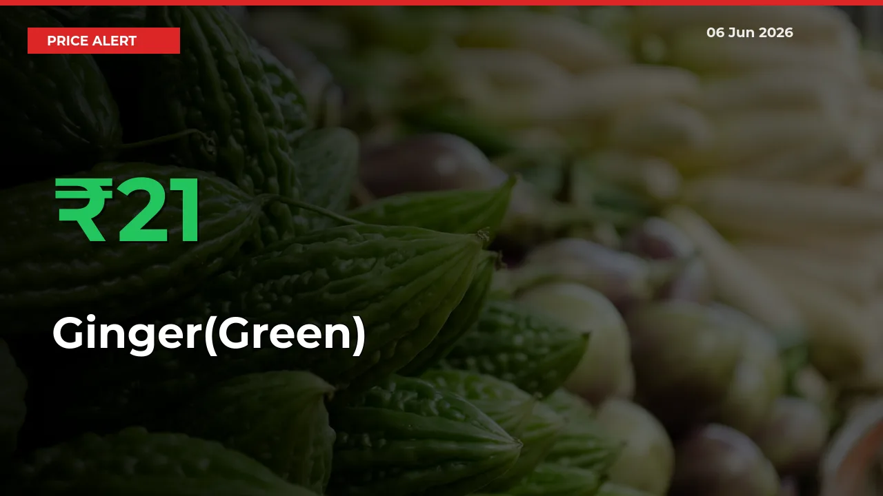21.48% Spike in Ginger(Green) Prices – Mandi Sees Sudden Rally