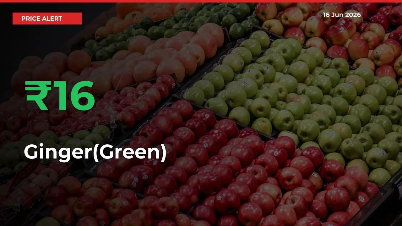 Ginger(Green) Mandi Rate Today: Prices Jump 15.59% at Market