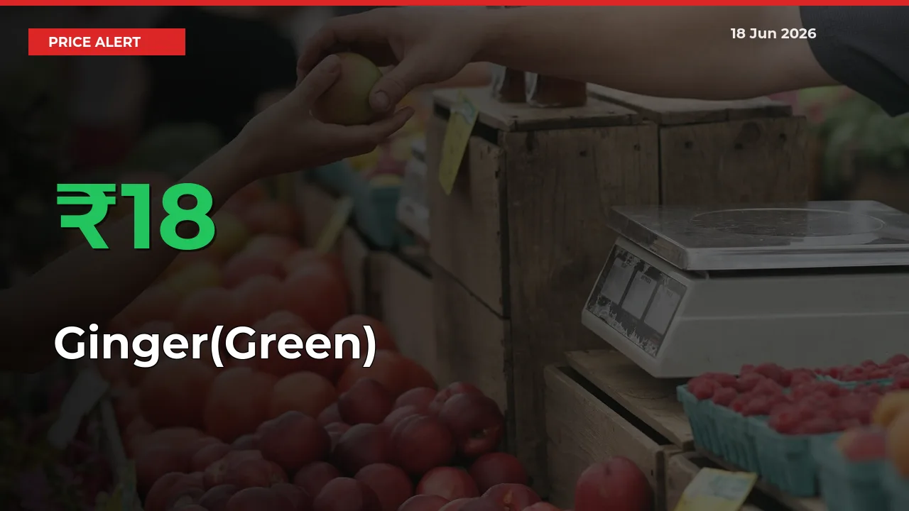 17.74% Spike in Ginger(Green) Prices – Mandi Sees Sudden Rally