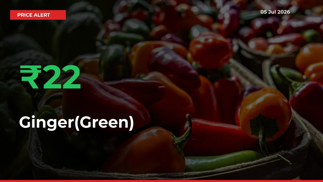 Why Ginger(Green) Prices Rose 22.05% in a Day at Mandis