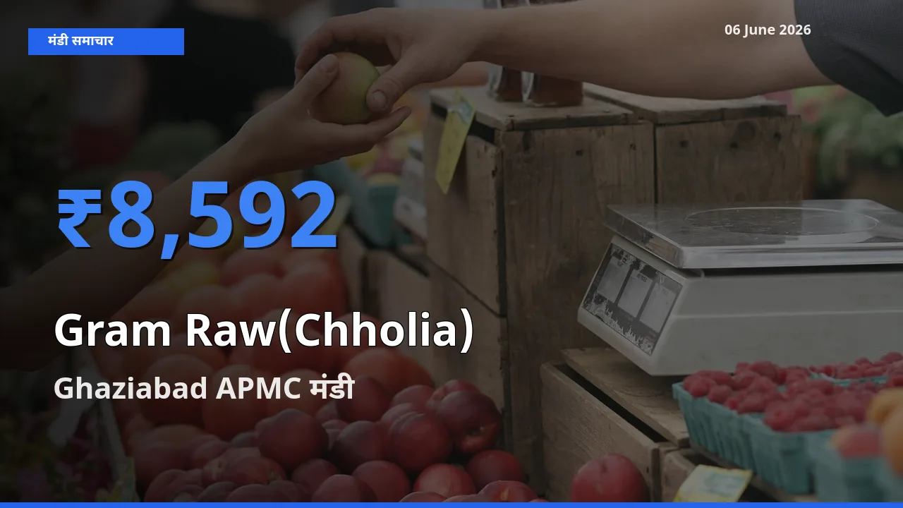 आज का मंडी भाव: हरा चना (छोलिया) के सबसे ज़्यादा दाम Ghaziabad APMC में
