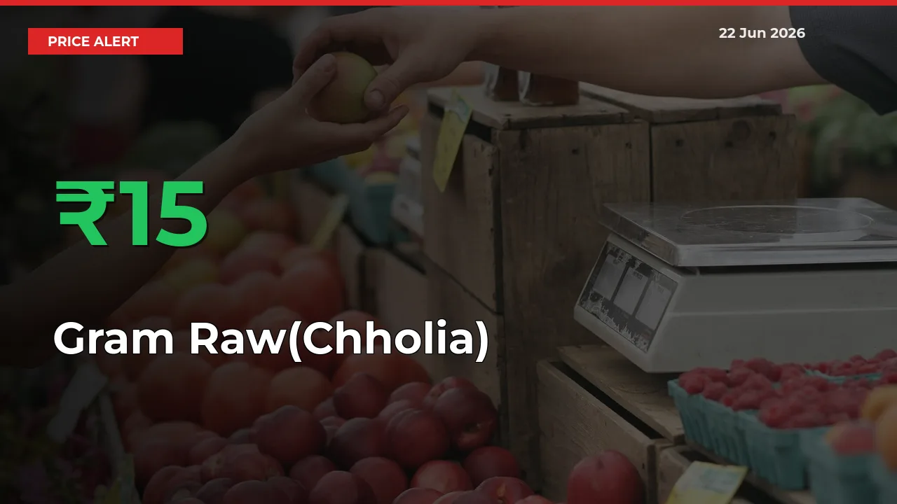 This Mandi Records 15.41% Jump in Gram Raw(Chholia) Prices
