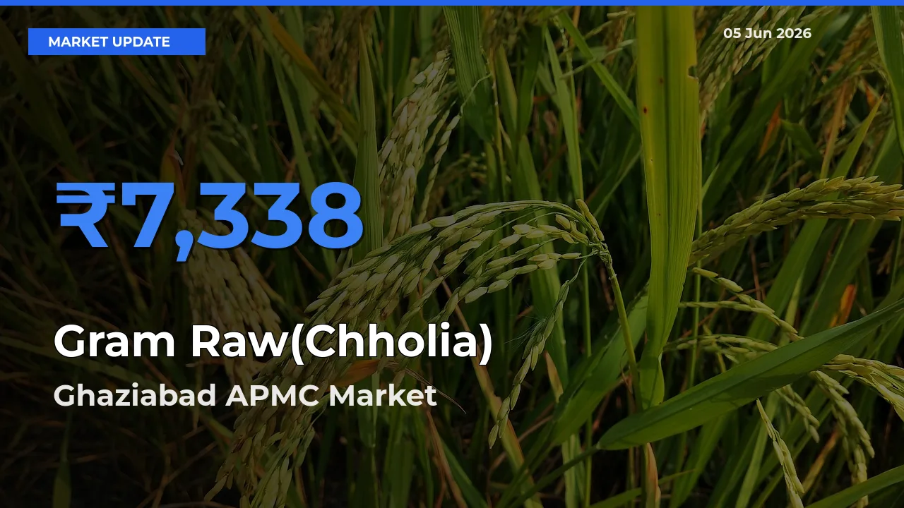 Ghaziabad APMC Tops Gram Raw(Chholia) Rates – June 05 Market Update