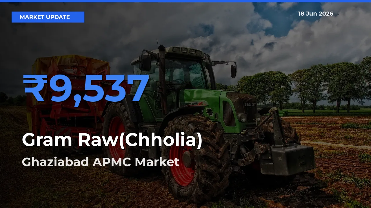 Farmers Prefer Ghaziabad APMC as Gram Raw(Chholia) Hits Highest Rate