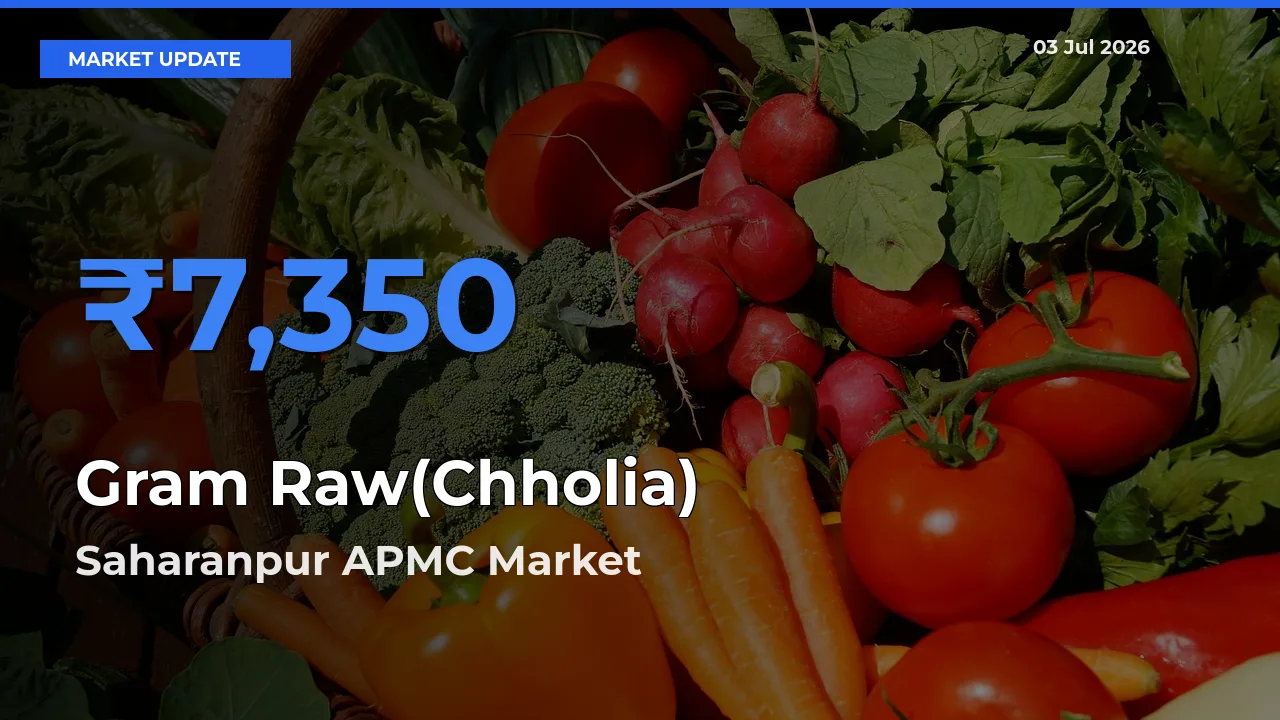 Saharanpur APMC Records Highest ₹7,350 Rate for Gram Raw(Chholia)