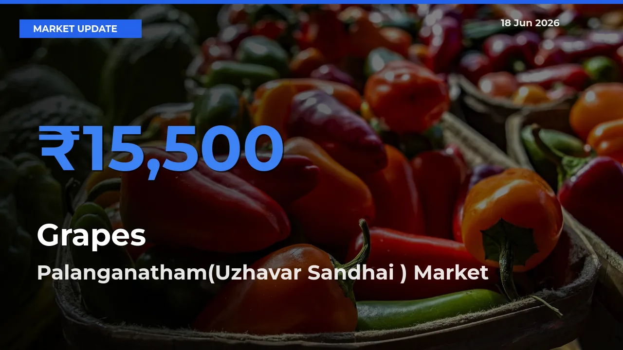 Palanganatham(Uzhavar Sandhai ) Emerges as Top Mandi for Grapes Prices Today