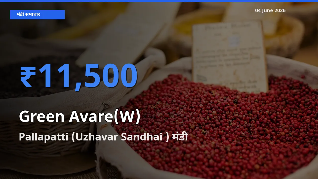 बाज़ार संकेत: Pallapatti (Uzhavar Sandhai ) बना हरी सेम के लिए आज की टॉप मंडी