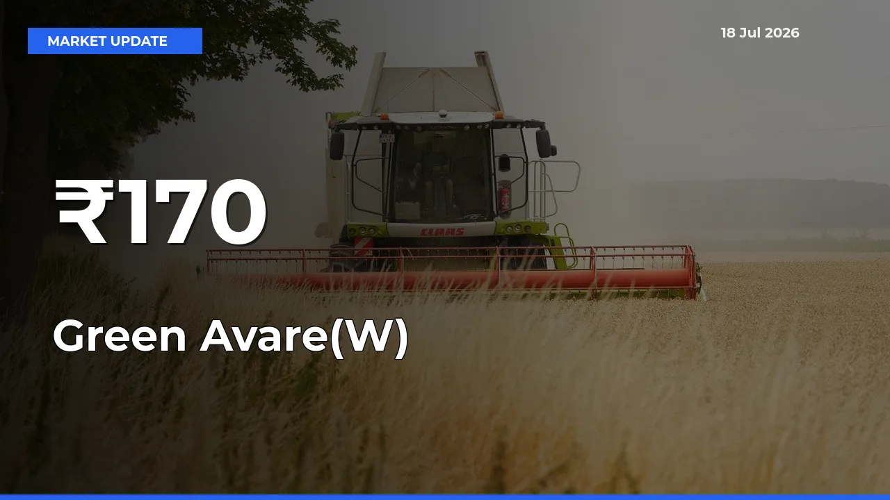 Green Avare(W) Prices Trend Across 170+ Mandis – Market Direction Turns Clear