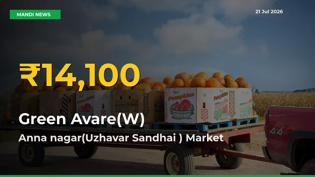 Anna nagar(Uzhavar Sandhai ) Leads as Green Avare(W) Hits Highest Rate – July 21 Update