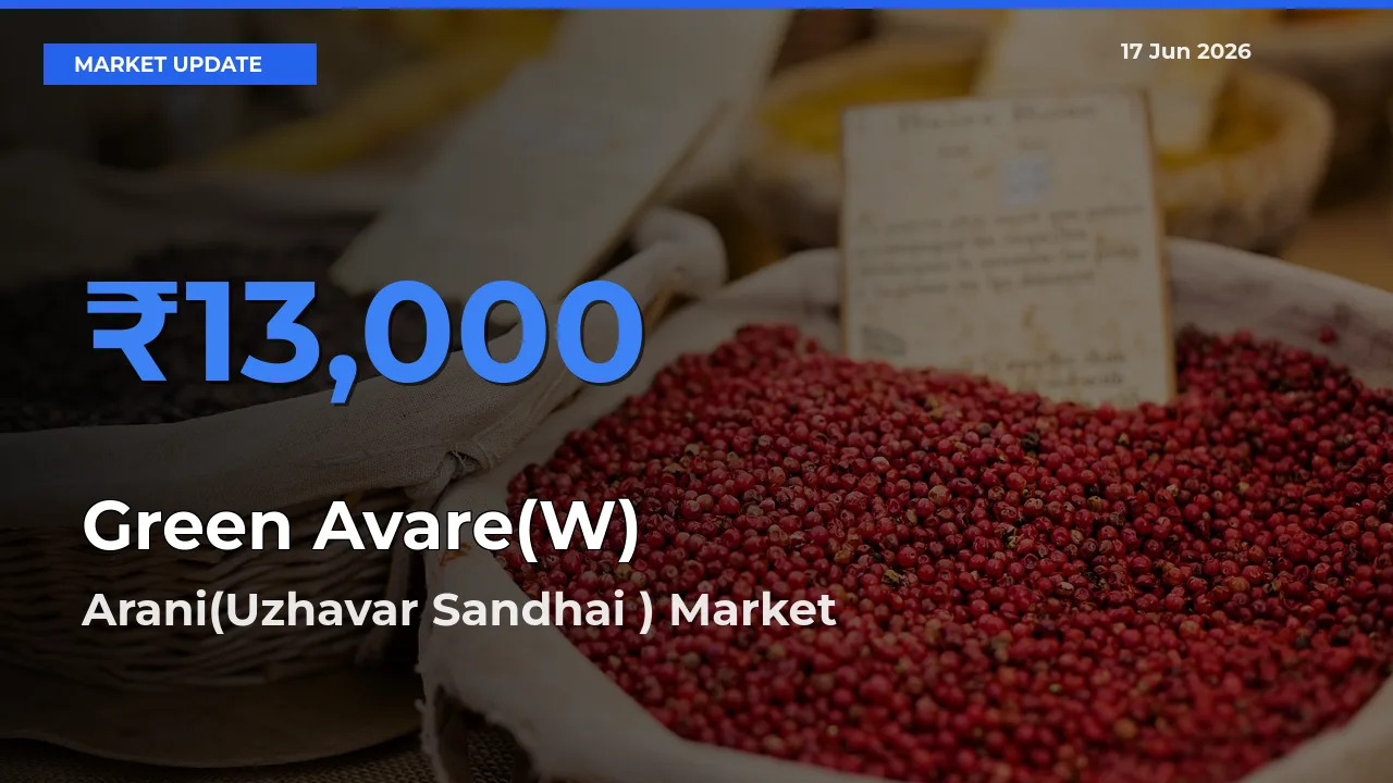Top Performer! Arani(Uzhavar Sandhai ) Offers Best Green Avare(W) Price Today