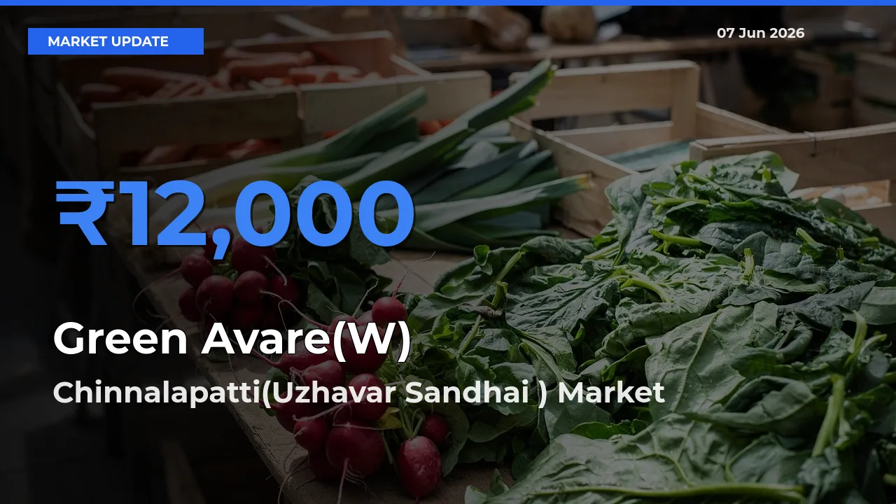Chinnalapatti(Uzhavar Sandhai ) Tops Green Avare(W) Rates – June 07 Market Update