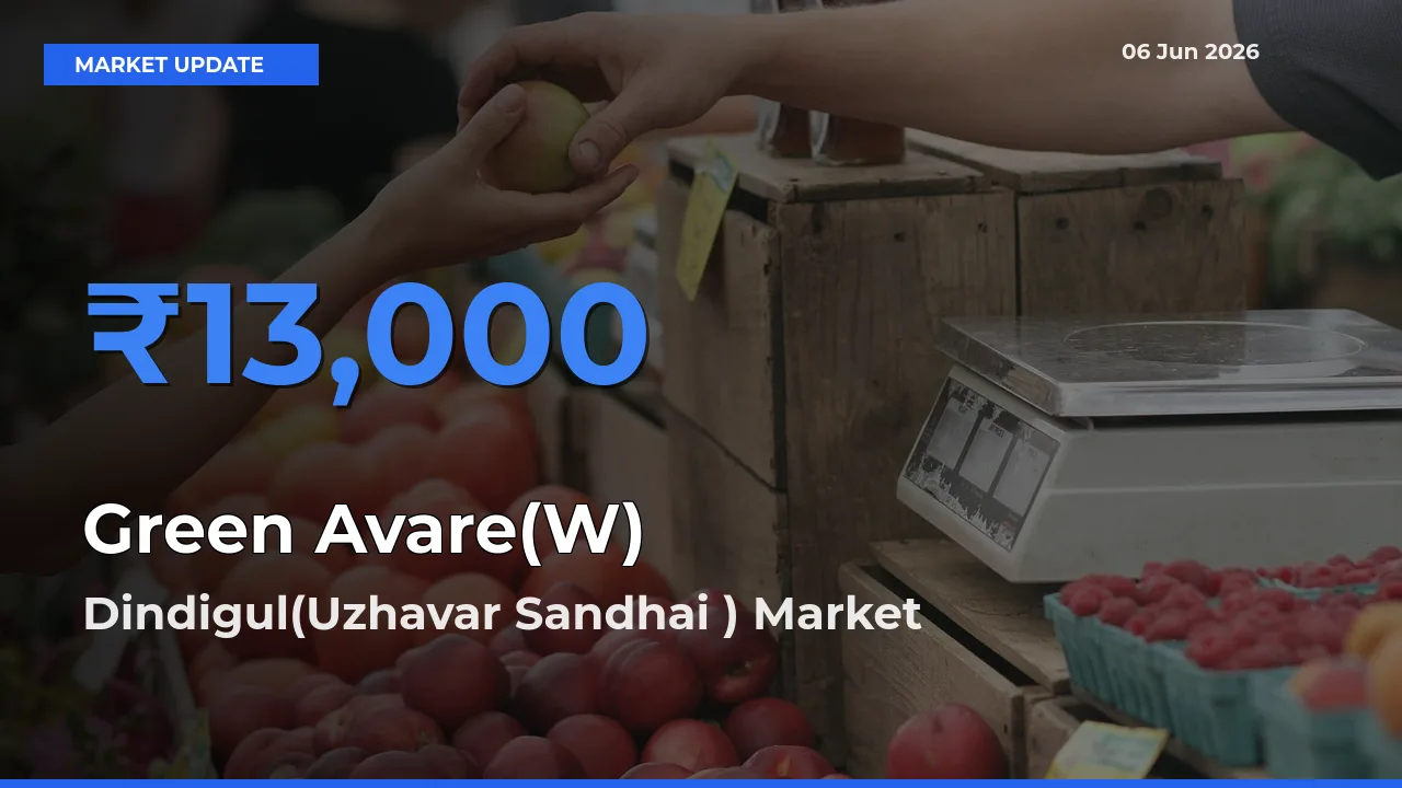 Dindigul(Uzhavar Sandhai ) Leads as Top Mandi for Green Avare(W) Prices