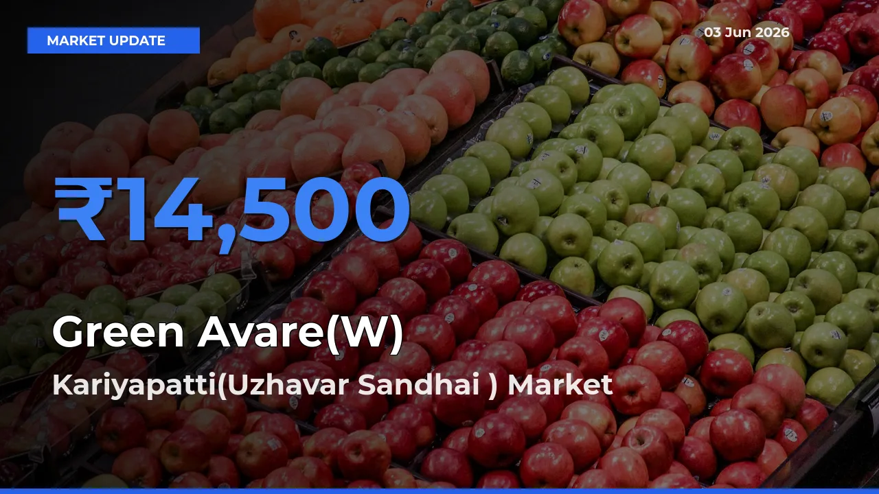 Green Avare(W) Mandi Rate Today: Kariyapatti(Uzhavar Sandhai ) Tops the List