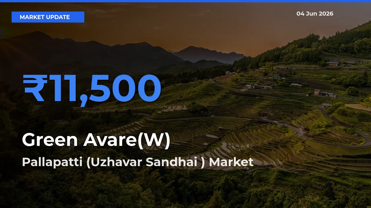 Green Avare(W) Mandi Rate Today: Pallapatti (Uzhavar Sandhai ) Tops the List