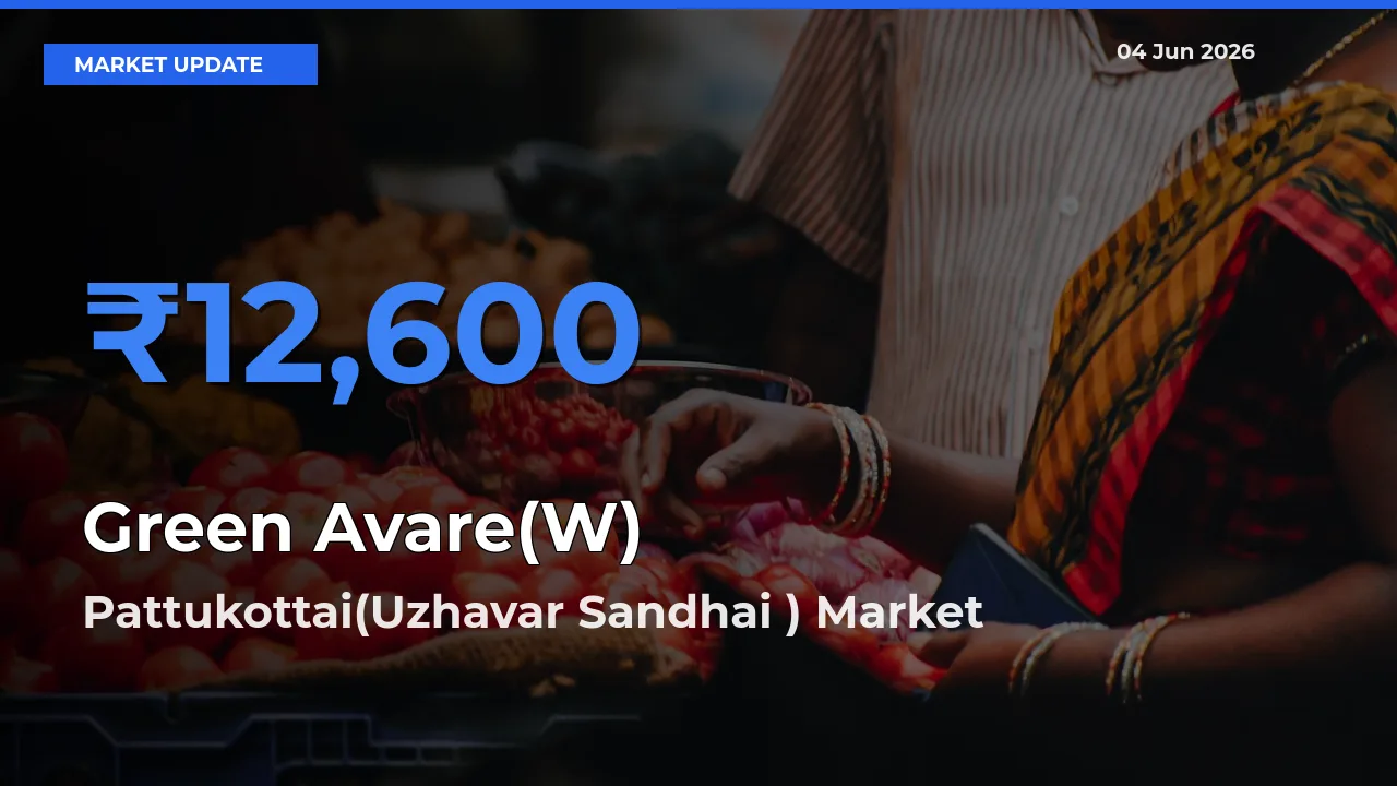 Pattukottai(Uzhavar Sandhai ) Offers ₹12,600 – Highest Green Avare(W) Rate Today