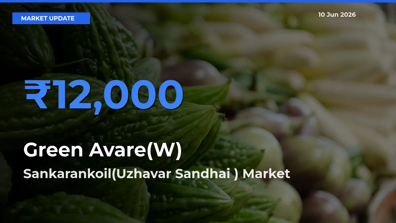 Farmers Prefer Sankarankoil(Uzhavar Sandhai ) as Green Avare(W) Hits Highest Rate