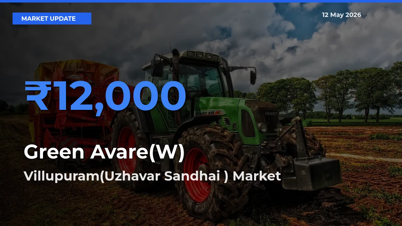 Villupuram(Uzhavar Sandhai ) Offers ₹12,000 – Highest Green Avare(W) Rate Today