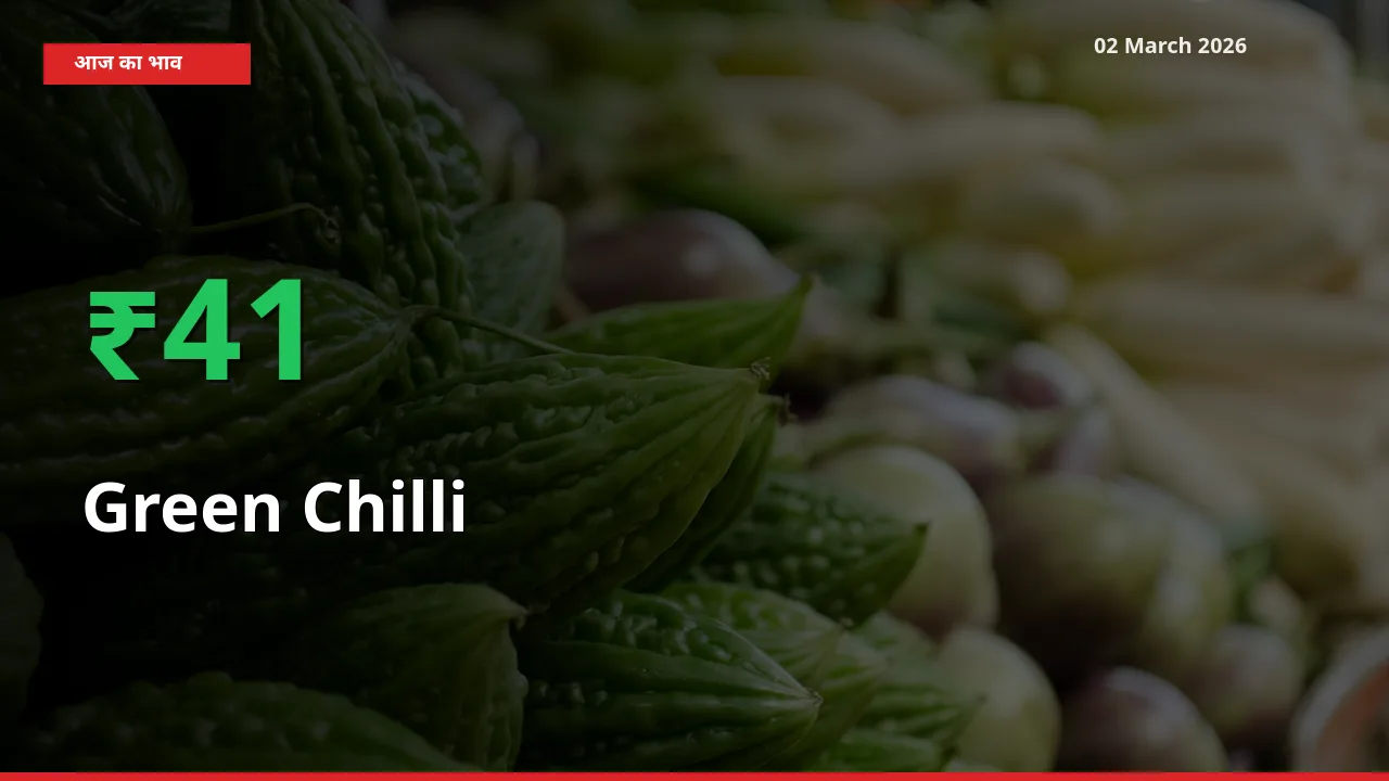 Green Chilli 41.44% उछला, मंडी