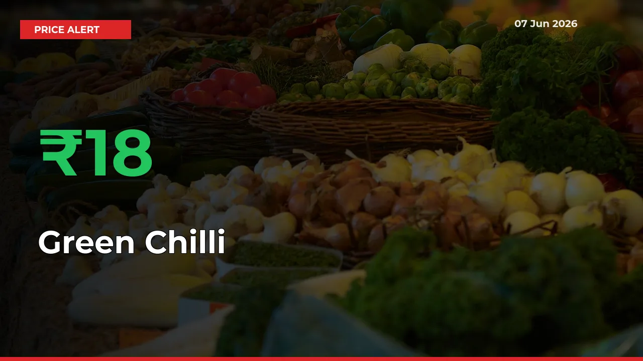 Green Chilli Rises 17.54% at Mandis