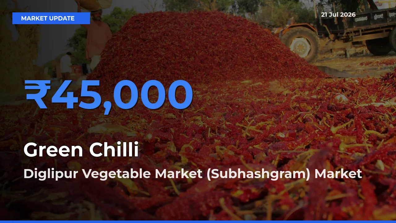 Green Chilli Mandi Rate Today: Diglipur Vegetable Market (Subhashgram) Tops the List