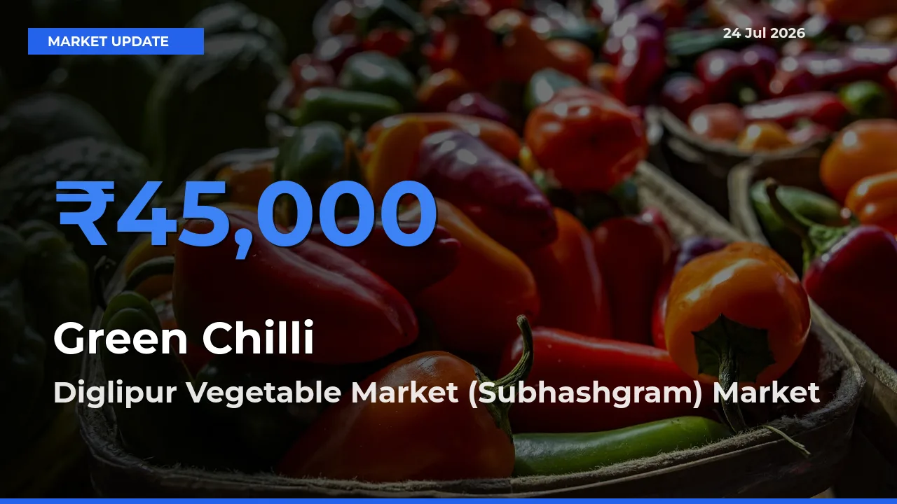 Diglipur Vegetable Market (Subhashgram) Tops Green Chilli Mandi Rates Today