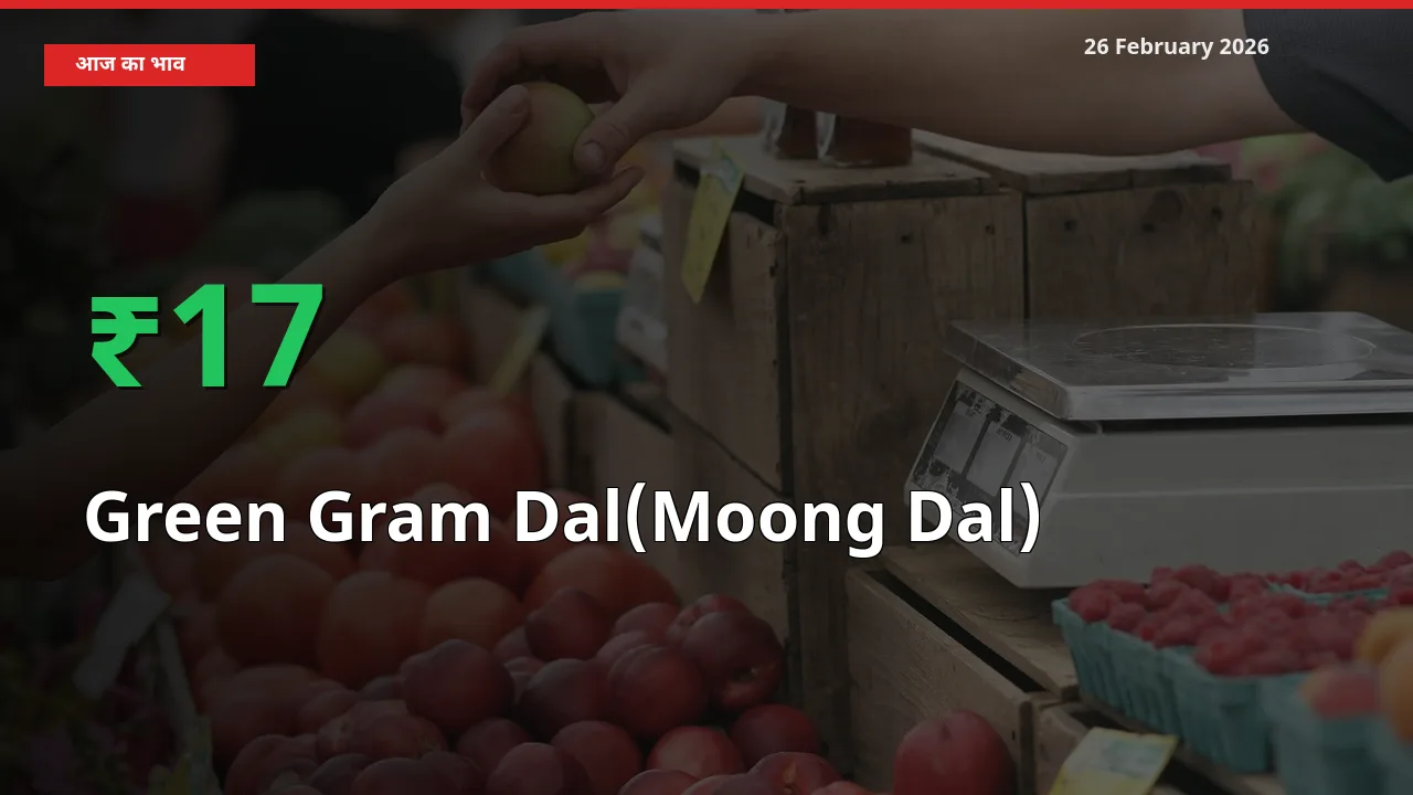 किसानों के लिए खुशखबरी! स्थानीय मंडी में Green Gram Dal(Moong Dal) 17.27% उछला
