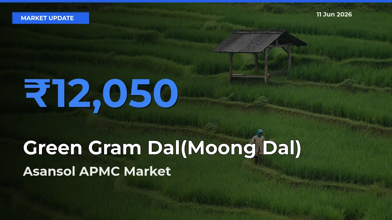 Green Gram Dal(Moong Dal) Mandi Rate Today: Asansol APMC Tops the List