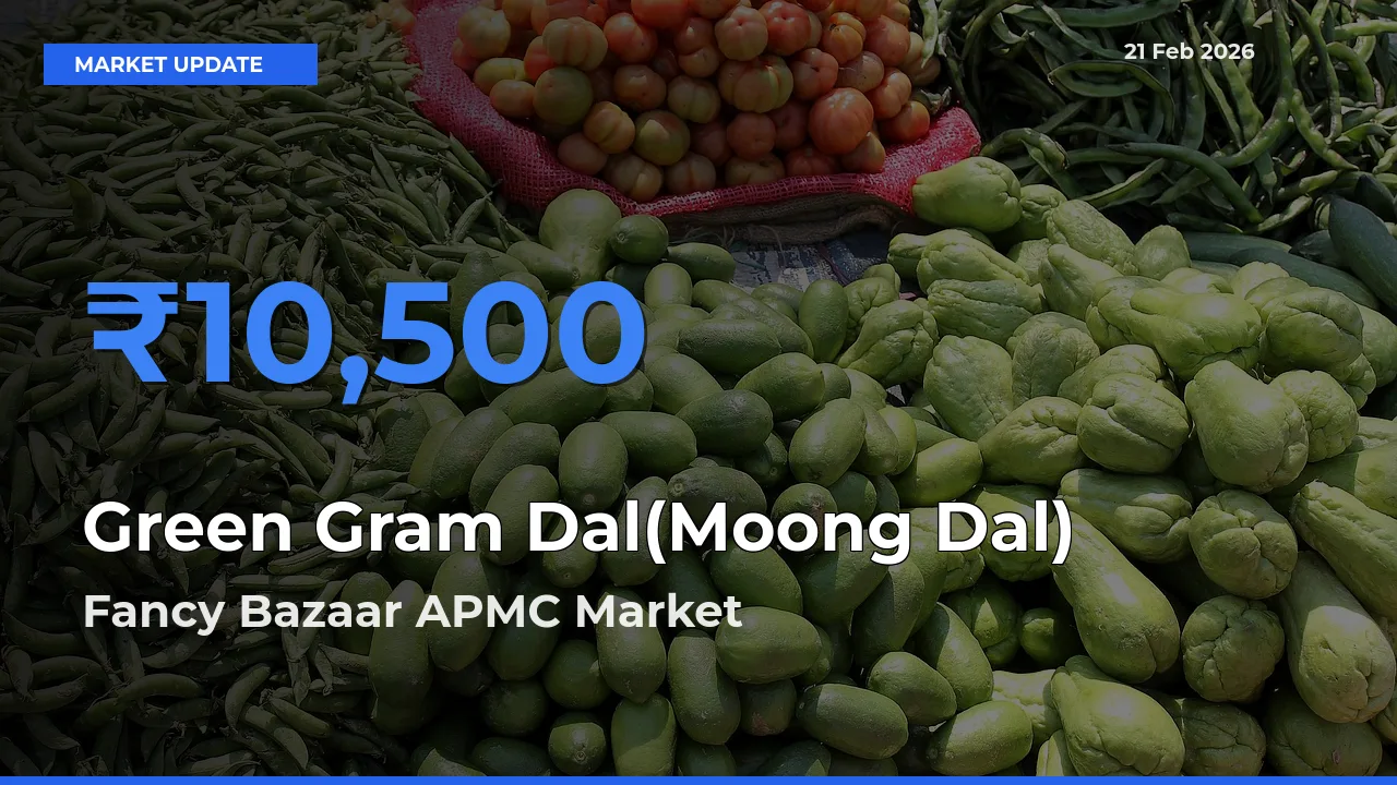 Farmers Prefer Fancy Bazaar APMC as Green Gram Dal(Moong Dal) Hits Highest Rate