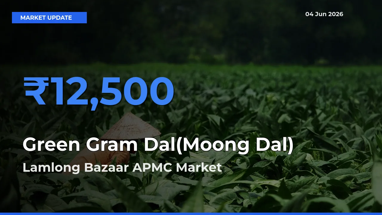 Market Watch: Lamlong Bazaar APMC Becomes Top Mandi for Green Gram Dal(Moong Dal)