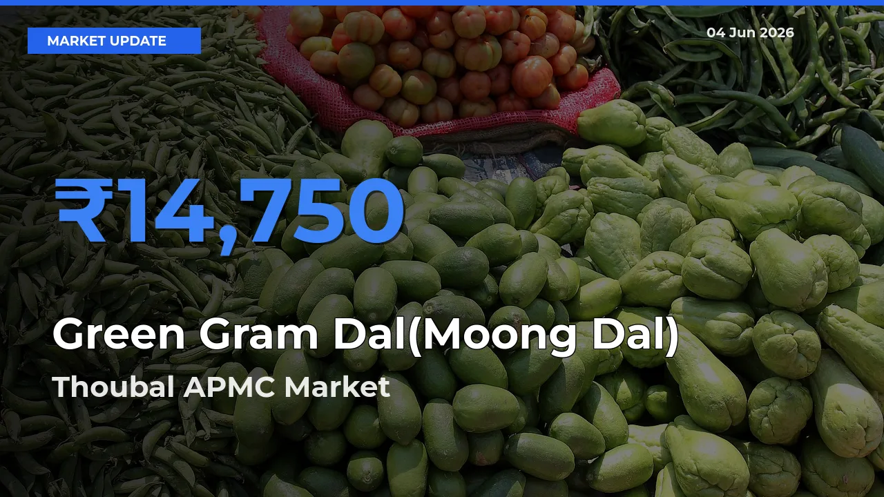 Green Gram Dal(Moong Dal) Mandi Rate Today: Thoubal APMC Tops the List