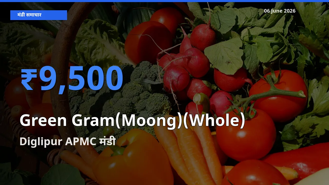 आज साबुत मूंग के सबसे ऊँचे दाम ₹9,500 Diglipur APMC मंडी में