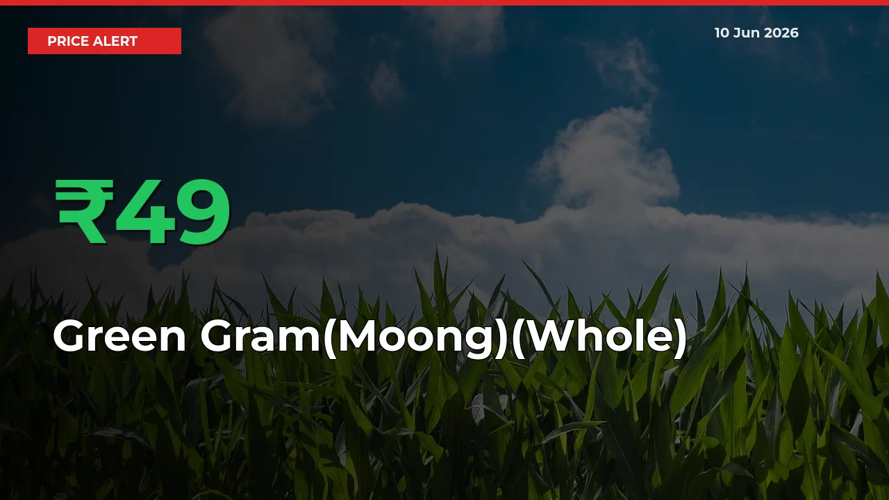 Why Green Gram(Moong)(Whole) Prices Rose 49.03% in a Day at Mandis