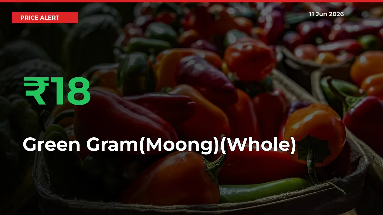 Big Rally! Green Gram(Moong)(Whole) Climbs 17.71% in 24 Hours at Top Mandis