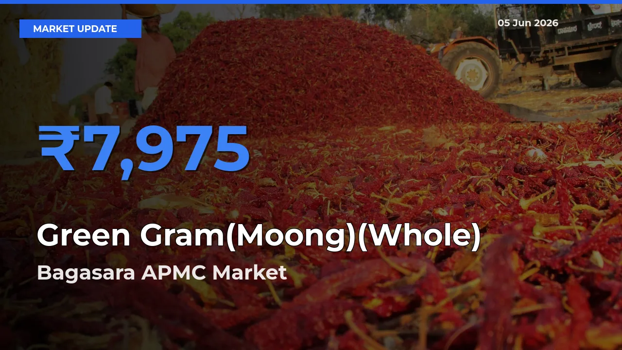 Green Gram(Moong)(Whole) Mandi Rate Today: Bagasara APMC Tops the List