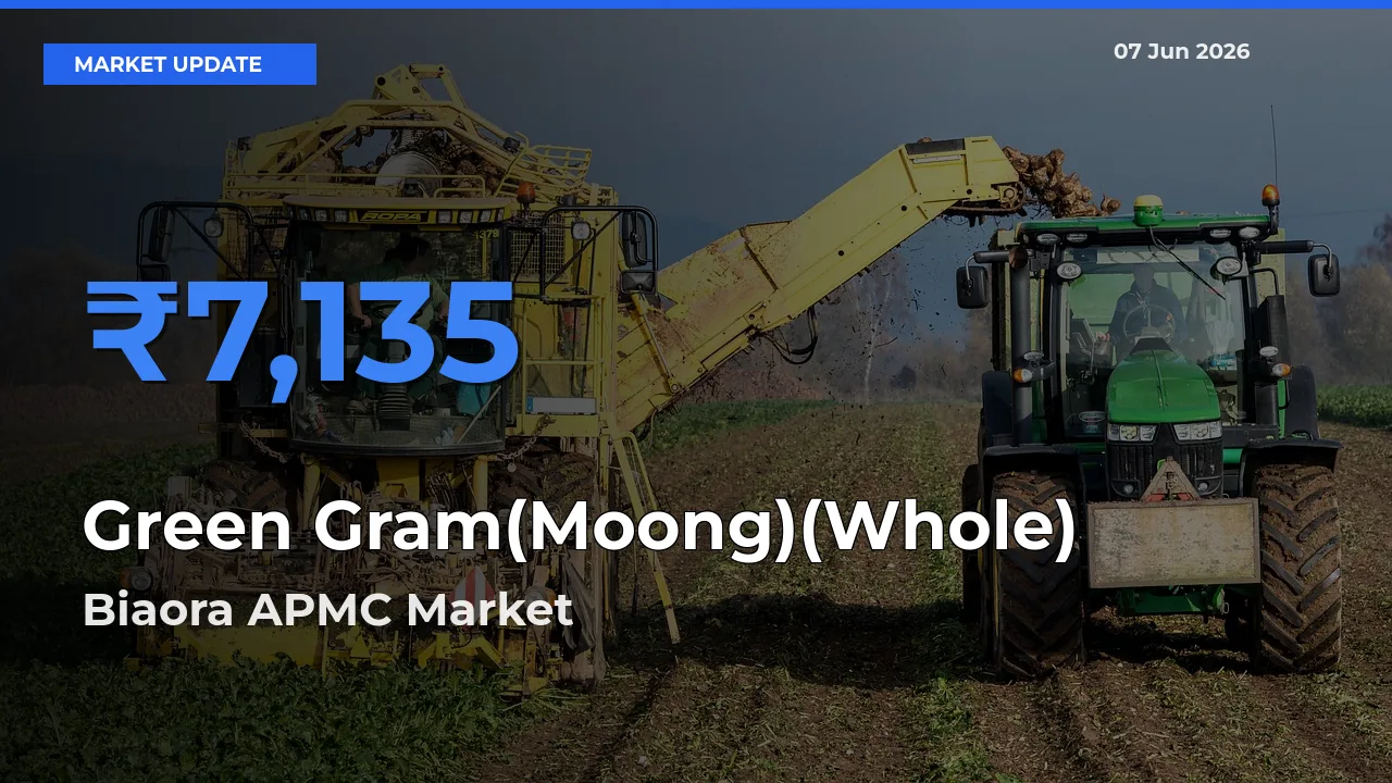 Farmers Prefer Biaora APMC as Green Gram(Moong)(Whole) Hits Highest Rate